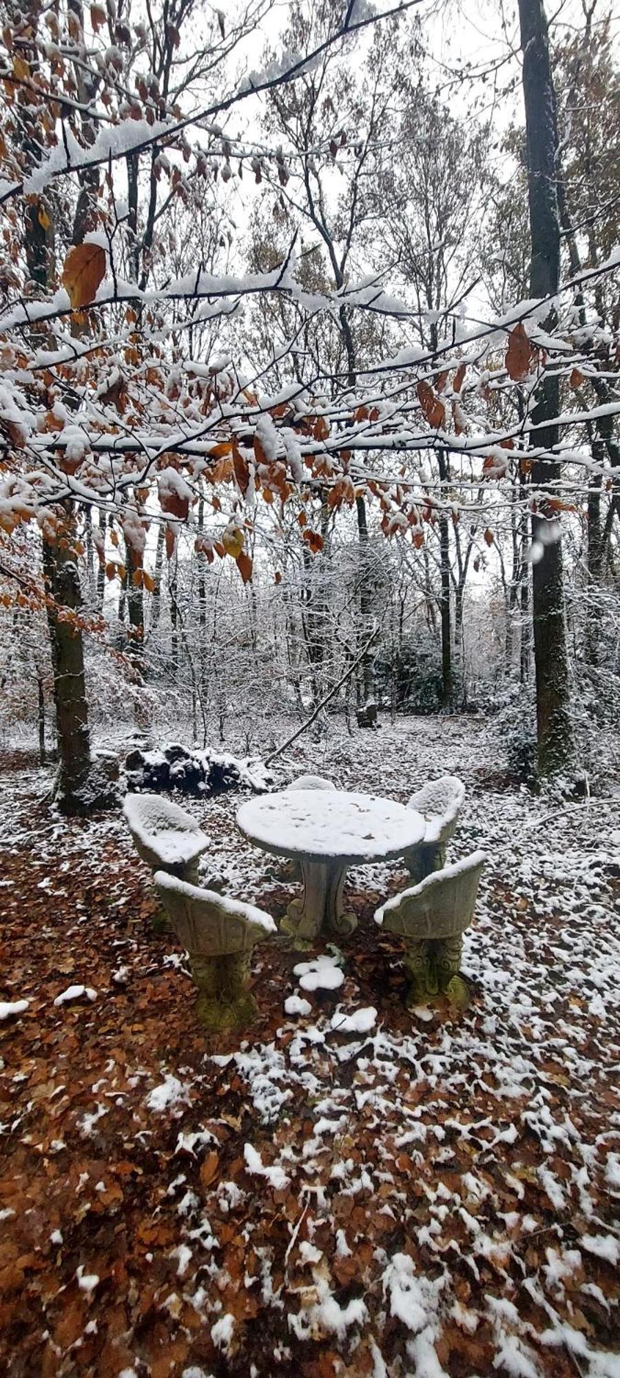 'T Boshuisje Opglabbeek Exterior foto